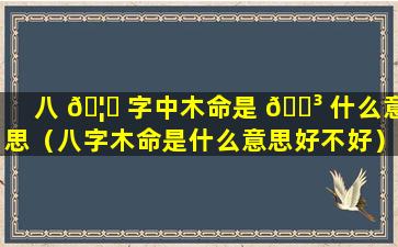 八 🦍 字中木命是 🐳 什么意思（八字木命是什么意思好不好）